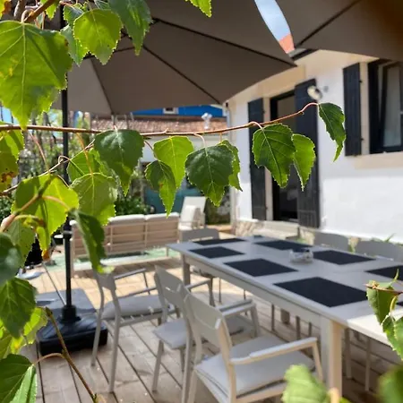 Du Bassin -un Petit Coin De Paradis