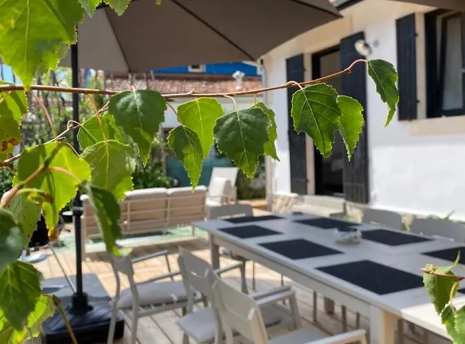 Du Bassin -un Petit Coin De Paradis